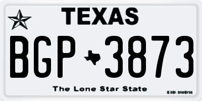 TX license plate BGP3873
