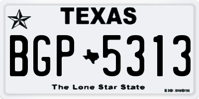 TX license plate BGP5313