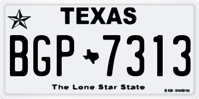 TX license plate BGP7313