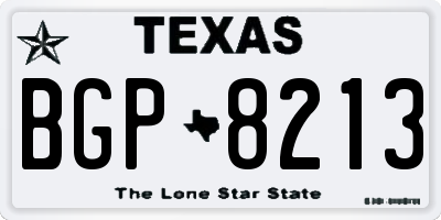 TX license plate BGP8213