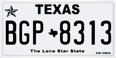TX license plate BGP8313