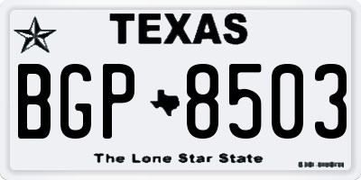TX license plate BGP8503