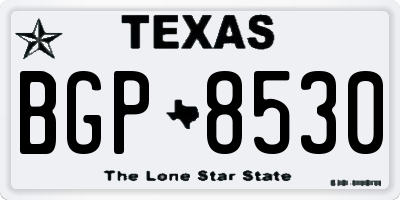 TX license plate BGP8530