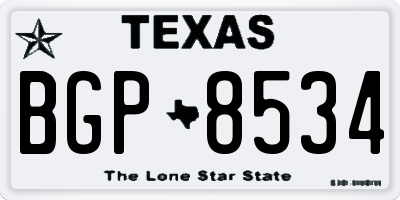 TX license plate BGP8534