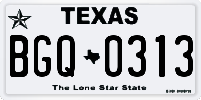 TX license plate BGQ0313