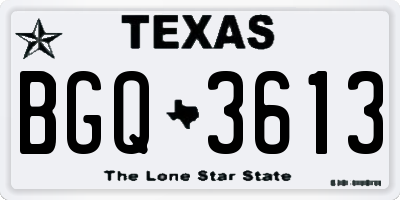 TX license plate BGQ3613