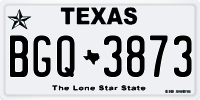 TX license plate BGQ3873