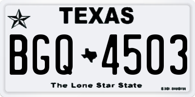 TX license plate BGQ4503