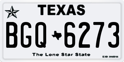 TX license plate BGQ6273