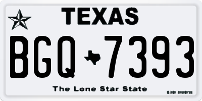 TX license plate BGQ7393