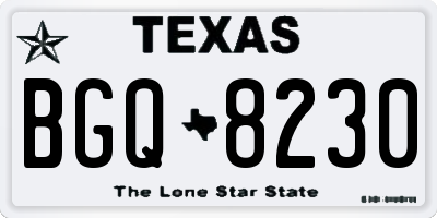 TX license plate BGQ8230