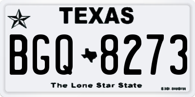 TX license plate BGQ8273