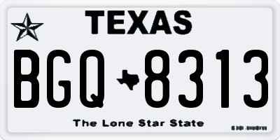 TX license plate BGQ8313
