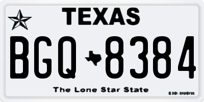 TX license plate BGQ8384