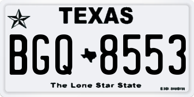TX license plate BGQ8553
