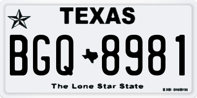TX license plate BGQ8981