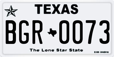 TX license plate BGR0073