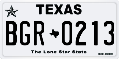 TX license plate BGR0213