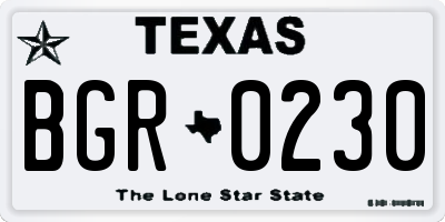 TX license plate BGR0230
