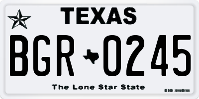 TX license plate BGR0245