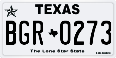 TX license plate BGR0273