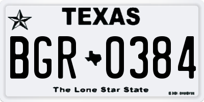 TX license plate BGR0384