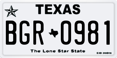 TX license plate BGR0981