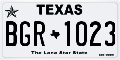 TX license plate BGR1023