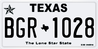 TX license plate BGR1028