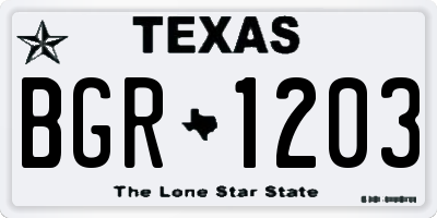 TX license plate BGR1203