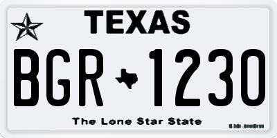 TX license plate BGR1230
