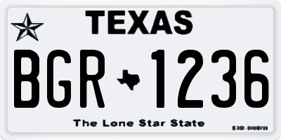 TX license plate BGR1236