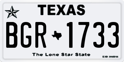 TX license plate BGR1733