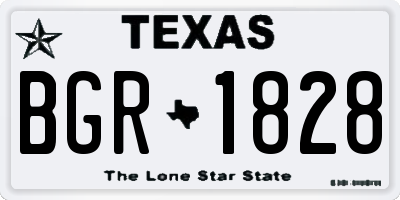 TX license plate BGR1828