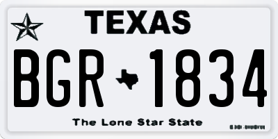 TX license plate BGR1834