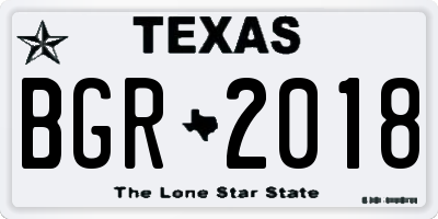 TX license plate BGR2018