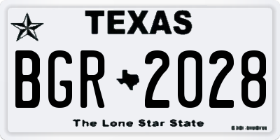 TX license plate BGR2028