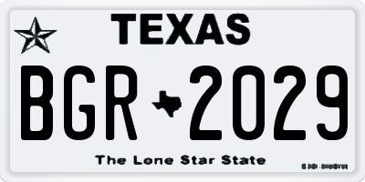 TX license plate BGR2029