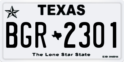 TX license plate BGR2301