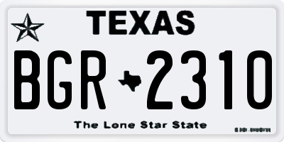 TX license plate BGR2310