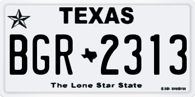 TX license plate BGR2313