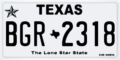 TX license plate BGR2318