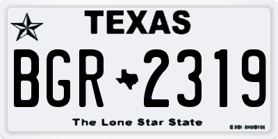 TX license plate BGR2319