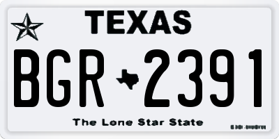 TX license plate BGR2391