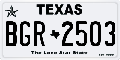 TX license plate BGR2503