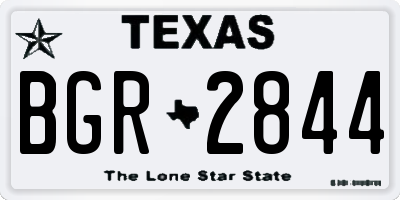 TX license plate BGR2844