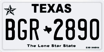 TX license plate BGR2890
