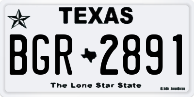 TX license plate BGR2891
