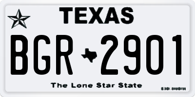 TX license plate BGR2901