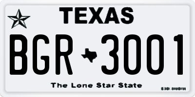 TX license plate BGR3001